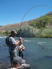 Oregon Fly Fishing 