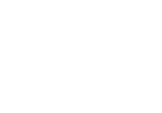 Dreams On the fly